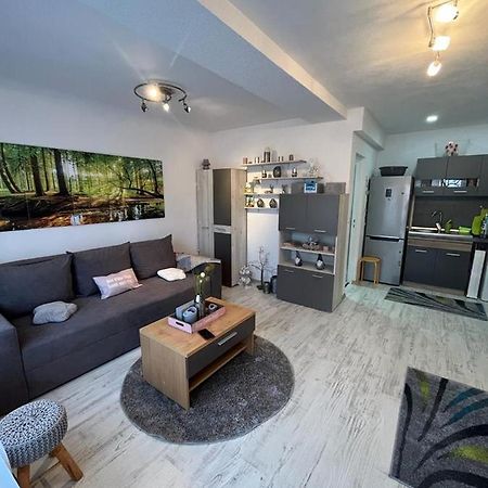 Apartament Acasa Sf.Gheorghe Sfântu-Gheorghe Zewnętrze zdjęcie