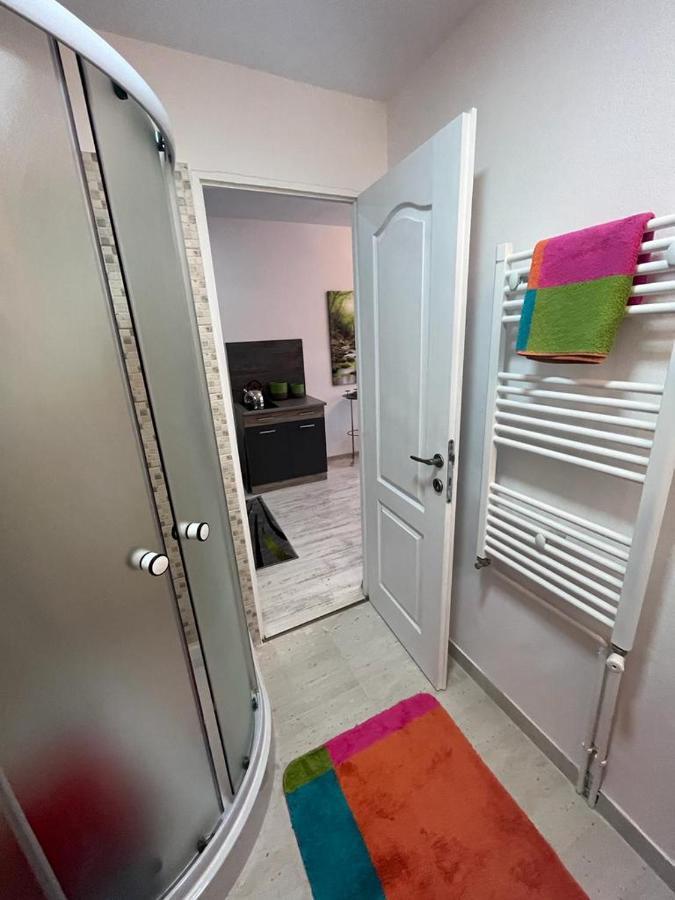 Apartament Acasa Sf.Gheorghe Sfântu-Gheorghe Zewnętrze zdjęcie